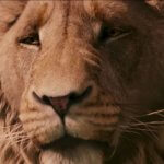 Nahaufnahme des Löwen Aslan, dem Schöpfer von Narnia